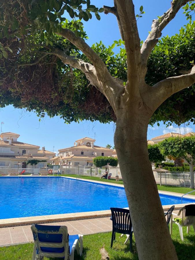 Greensuites La Zenia Torrevieja Плайя-Фламенка Екстер'єр фото